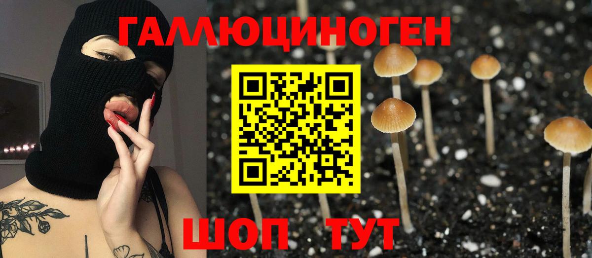 Псилоцибиновые грибы GOLDEN TEACHER Тосно