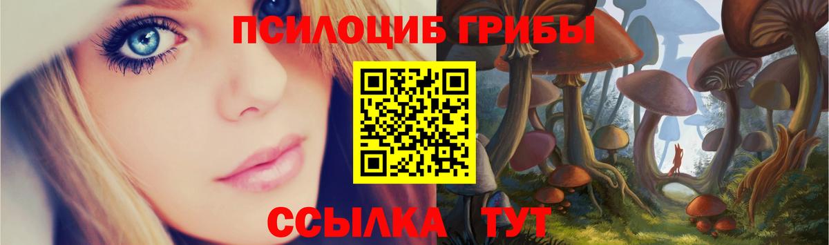 Галлюциногенные грибы Cubensis  Вход с VPN  Тосно  Галлюциногенные грибы прущие грибы 